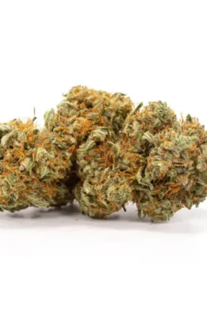 AK 47