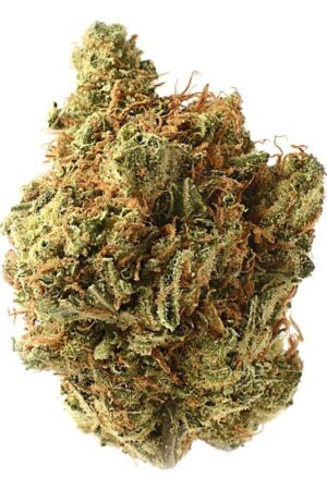 Amnesia Haze