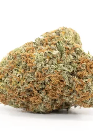 Blueberry