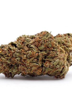 GMO Cookies