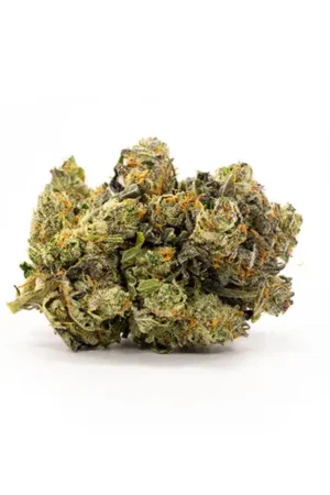 Grand Daddy Purple