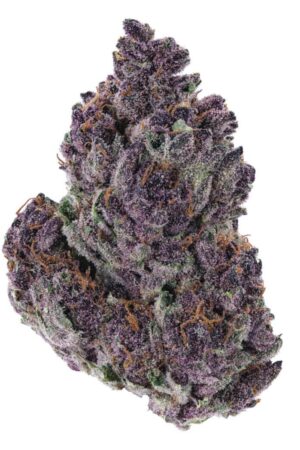 Granddaddy Purple
