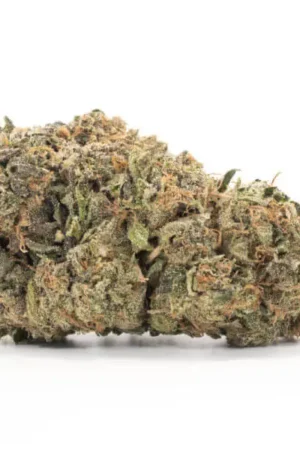 Northern Lights