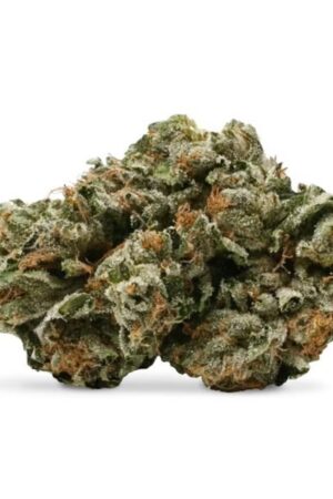 Pink Kush