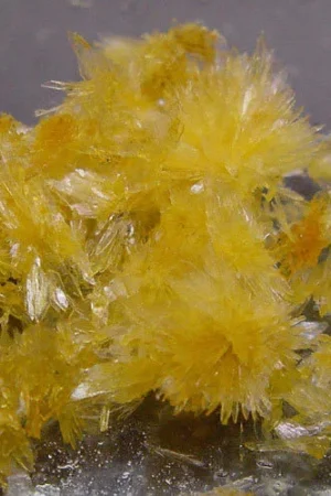 N-Dimethyltryptamine DMT crystals