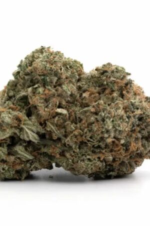 Comatose kush