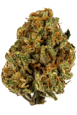 Super Lemon Haze