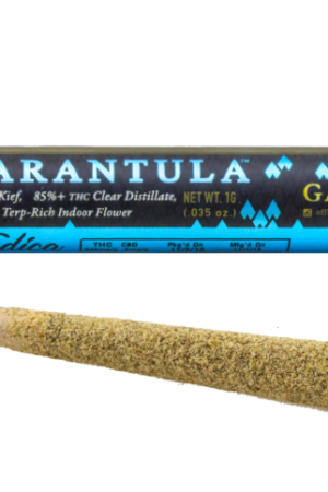 Ganja Gold/Blue Tarantula