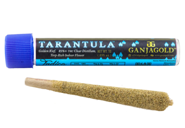 Ganja Gold/Blue Tarantula