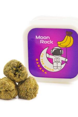 Moon Rocks